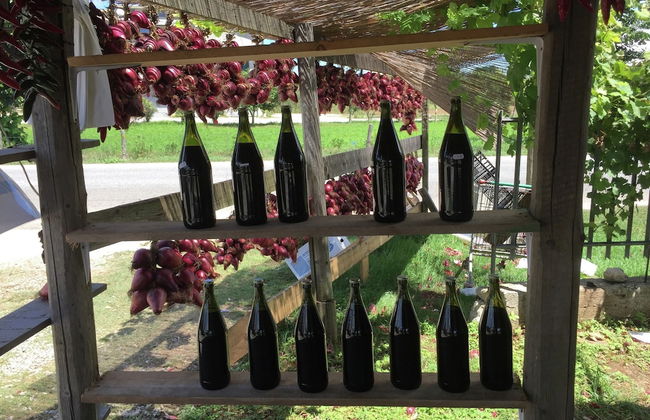 Family Sea-view Retreat in Parghelia - Foto 17