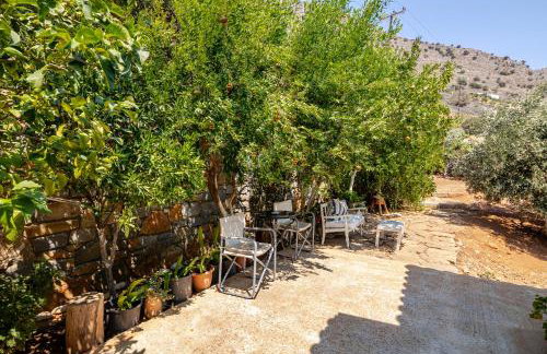 Aurora Spinalonga Garden Cottage - Photo 47