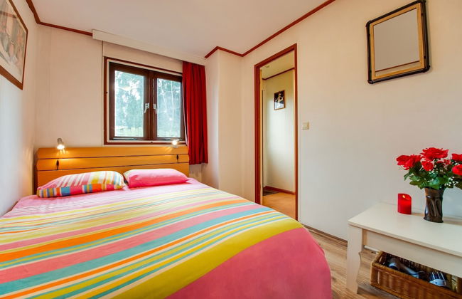 Chalet in Veluwe Near De Grote Ark - Foto 3