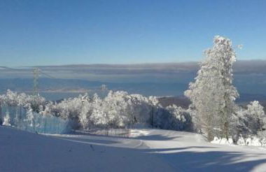 Green Park Hotel & Residence - Foto 123