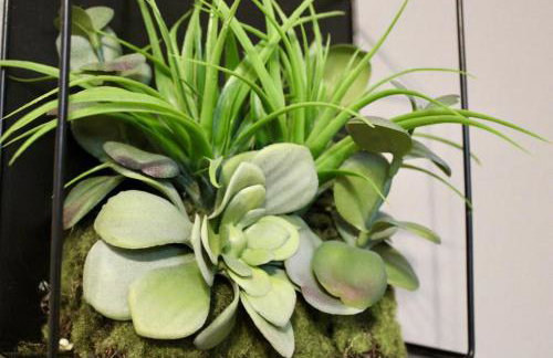 Little Rock - Capital Manor Adventure, Condo Near City Hotspots - Foto 15