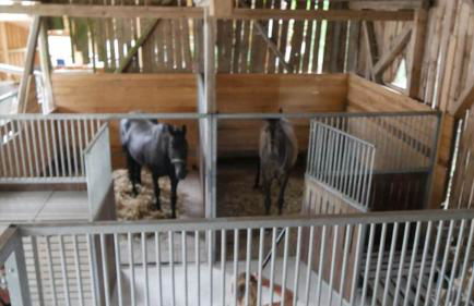 Ride & Relax Ferienwohnung, FeWo, Kurzurlaub - Foto 6