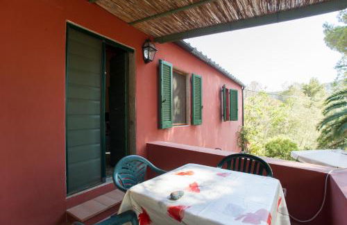 Casa Nocella a Bagnaia - Goelba - Foto 29