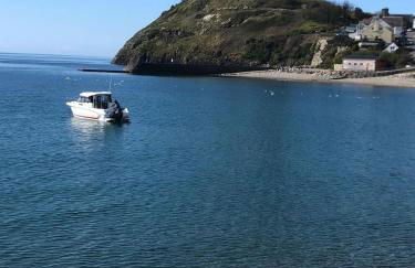 Glasfryn Cottage Dolgellau - Foto 21