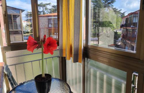 VuT San Blas - Foto 16