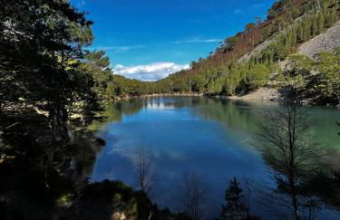 Old School - Foto 12