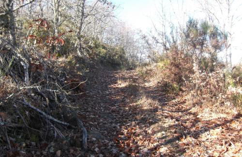 Casa do Pelourinho - Foto 30