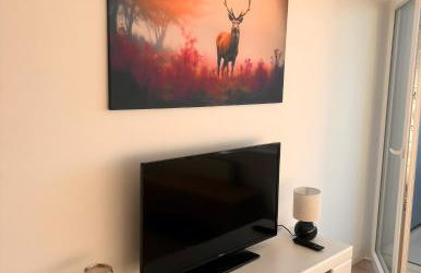 Über den Dächern von Aachen - Foto 4