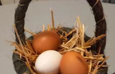 Angolo Della cei - Foto 10