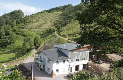 Ferienhof Giedensbach - Foto 5