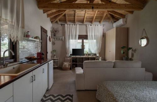 Nerium - Golden Fig Sykia lodge - Foto 20