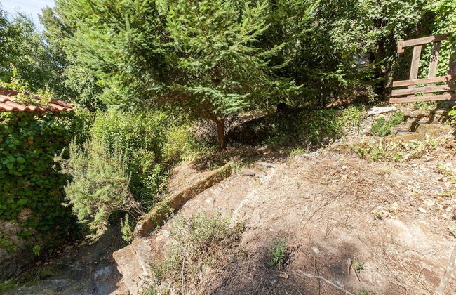 Forest House Casinha do Carvalhal - Foto 21