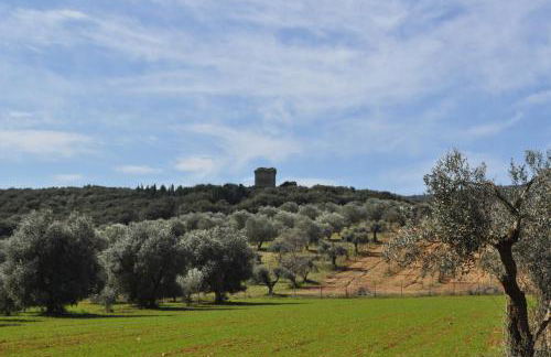 Tenuta Agricola dell'Uccellina - Foto 108