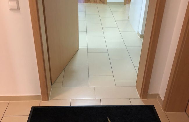 Sahara Falcon - Foto 45