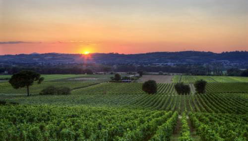 Agriturismo Poggio alle Vigne - Photo 5