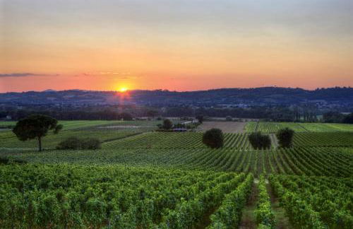 Agriturismo Poggio alle Vigne - Foto 5