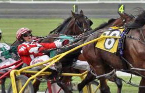 Southwoods Mountain Estate -private mansion, pool, hottub+ 15 acres - Foto 63