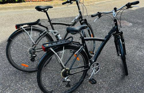 Cocon entre presqu'île du Cap Ferret et plages océanes - terrasse - 2 vélos gratuits - Foto 28