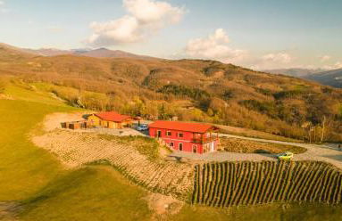 Azienda Agricola Saint Hubert - Foto 1