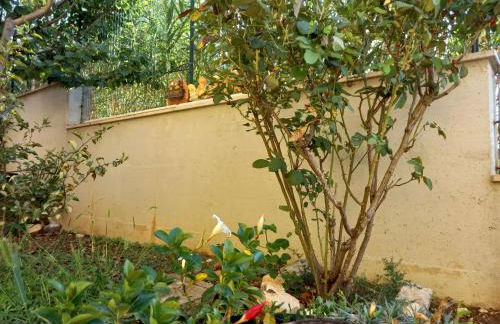 Villetta con giardino e parcheggio coperto - Foto 24