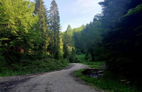 Dom w górach Przy szlaku - Foto 62