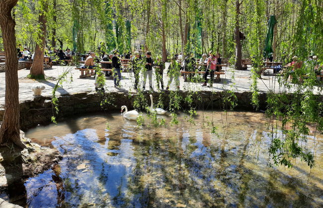 Villa Bloom garden - Foto 49