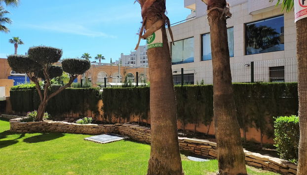 Acv - bahía park-1 línea planta 2 sur - Foto 2, Imagen principal