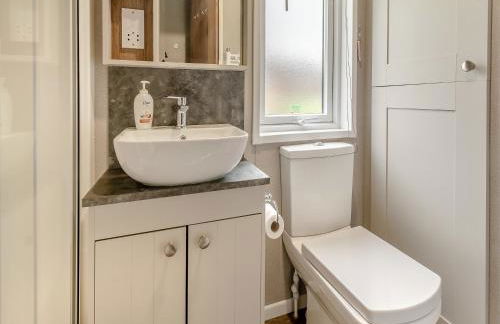 Alfie - Uk48109 - Foto 15