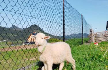 Agroturystyka Pod Zamczyskiem - Photo 27