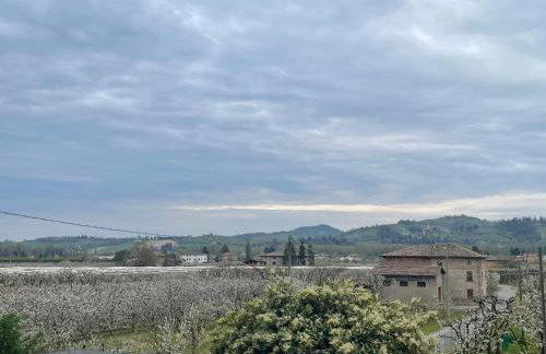 La Casa dei Ciliegi - Foto 10
