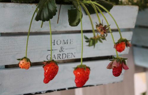 Trullo degli Augelli - Foto 28