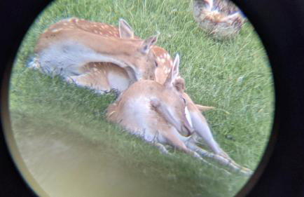 Apartament Topczewo - Foto 46