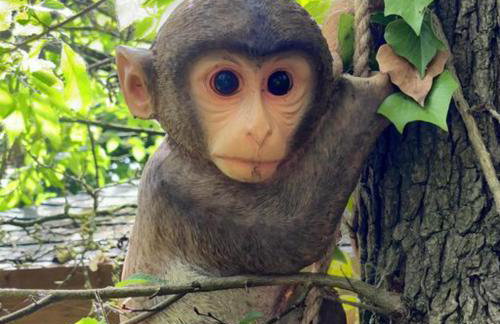 Beautiful 1-bed Cabin in Newmarket - Foto 21