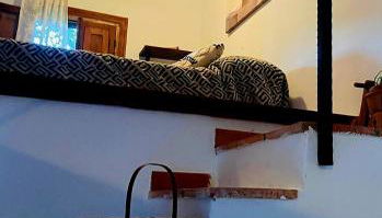 La Casa de Cadia 2 - Foto 4