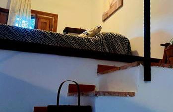 La Casa de Cadia 2 - Foto 4