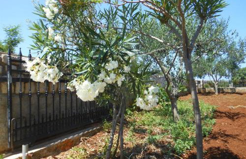 Apartments Ivan Sea View in Peaceful Lun - Photo 68