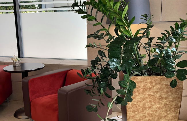 Residhome Val d'Europe - Foto 4