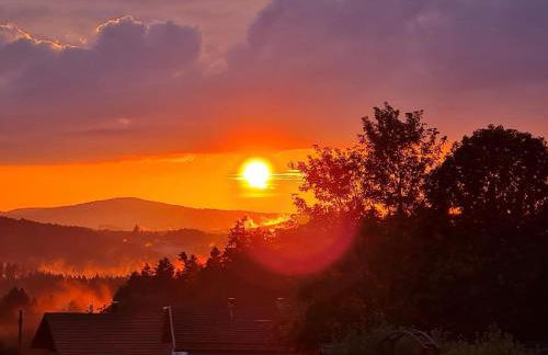 Blockhaus am Baumwipfelpfad - Foto 56