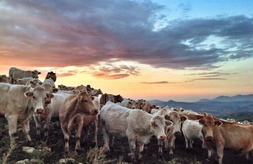 Ridocco Agriturismo - Foto 65