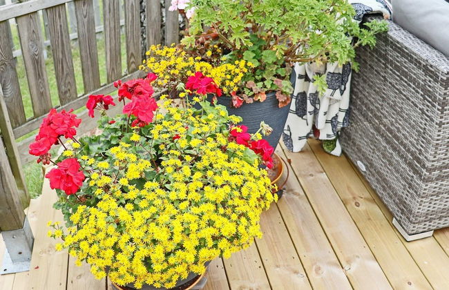 5 Person Holiday Home in Falkenberg-by Traum - Foto 27