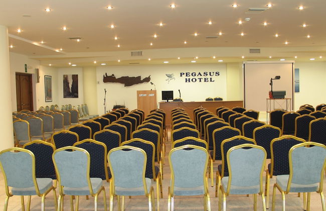 Pegasus Hotel - Foto 63