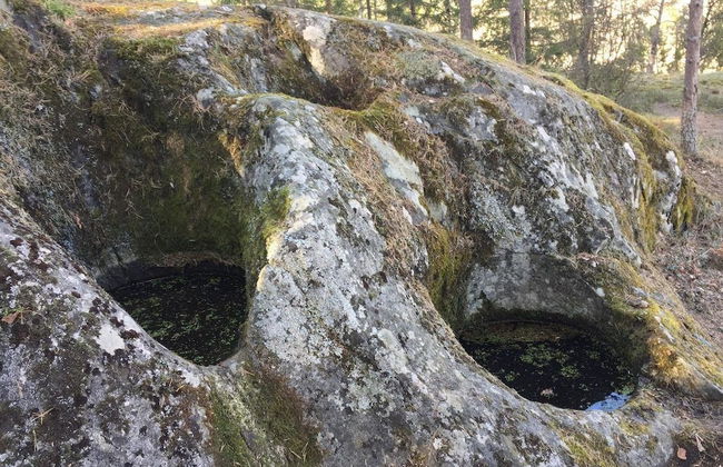 Ekuddens Vandrarhem - Photo 22