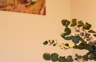 ALEXBAD Ferienwohnungen - Foto 21