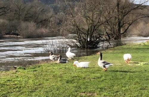 Mein Ferienhaus Rosenbusch 2 - Foto 23