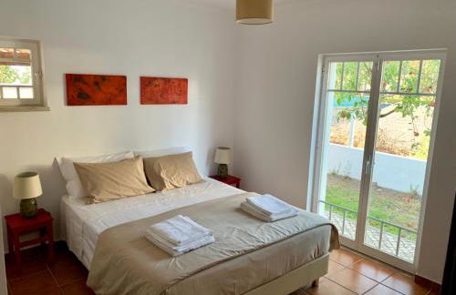 Romã do Meco - Foto 20