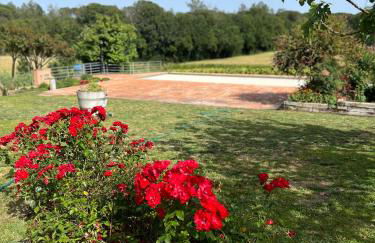 Can Figueretes - Foto 8