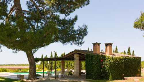 Son Bernadinet - Foto 5, Garden