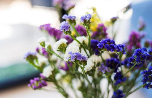 Beach Pearl Cala de Mijas - Photo 9