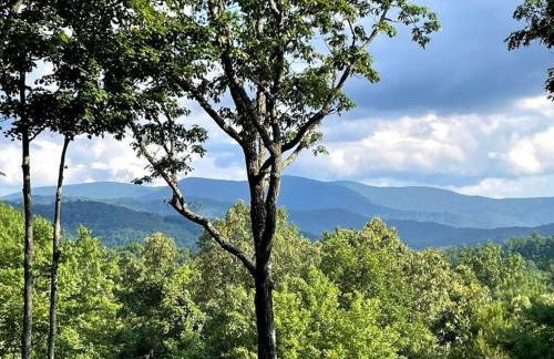 Bear Cloud - Foto 24