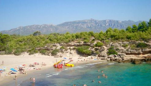 Maisonnette petit jardin barbecue Calafat Tridente 2 - Foto 5